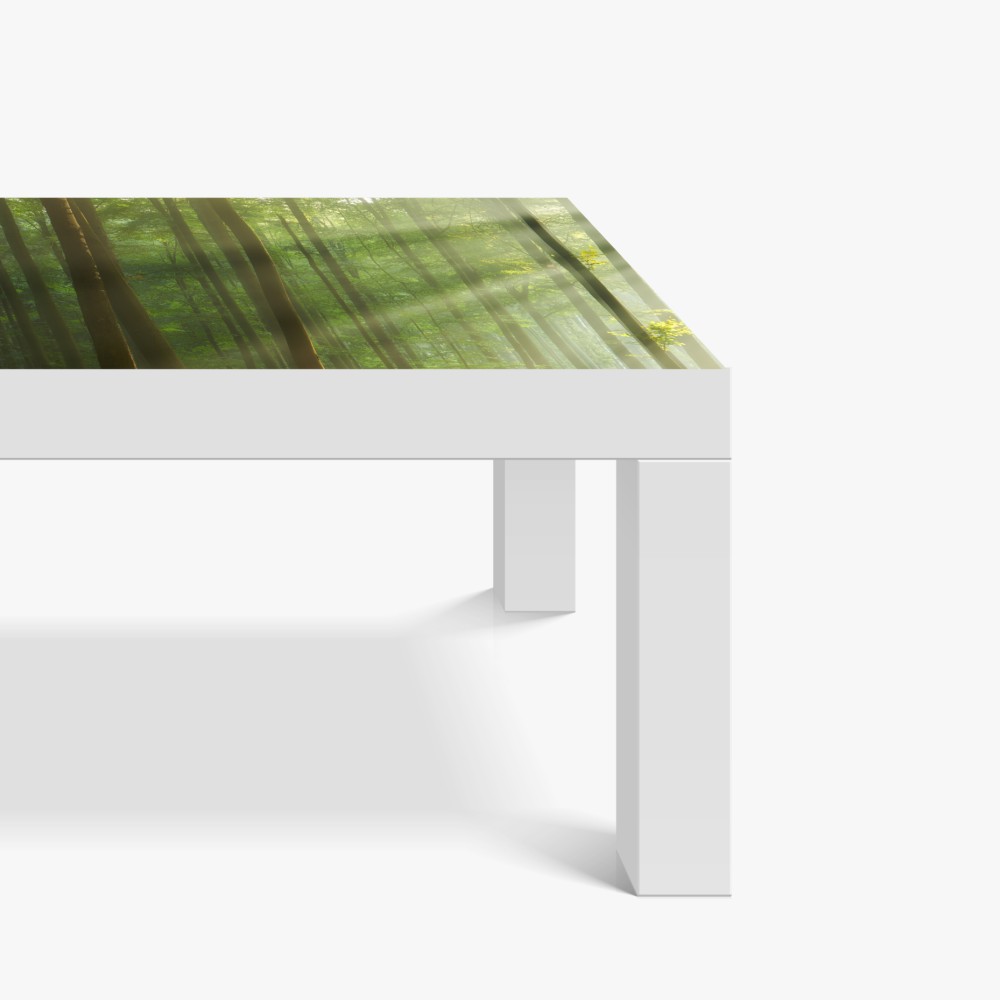 Tischaufkleber und Schreibtischaufkleber sonniger morgenwald – Wallnifity® Tischaufkleber und Schreibtischaufkleber sonniger morgenwald – Wallnifity®