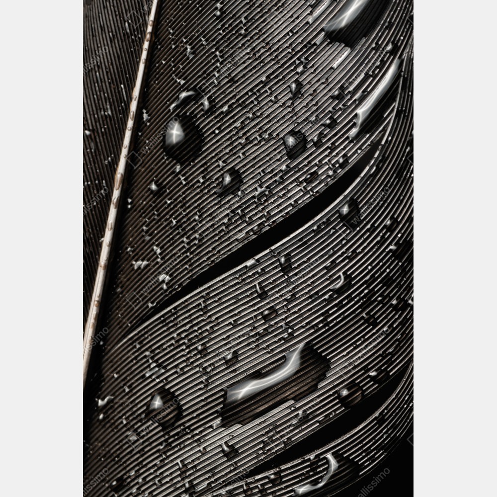 Tischaufkleber und Schreibtischaufkleber monochrome feder mit wassertropfen – Wallnifity® Tischaufkleber und Schreibtischaufkleber monochrome feder mit wassertropfen – Wallnifity®