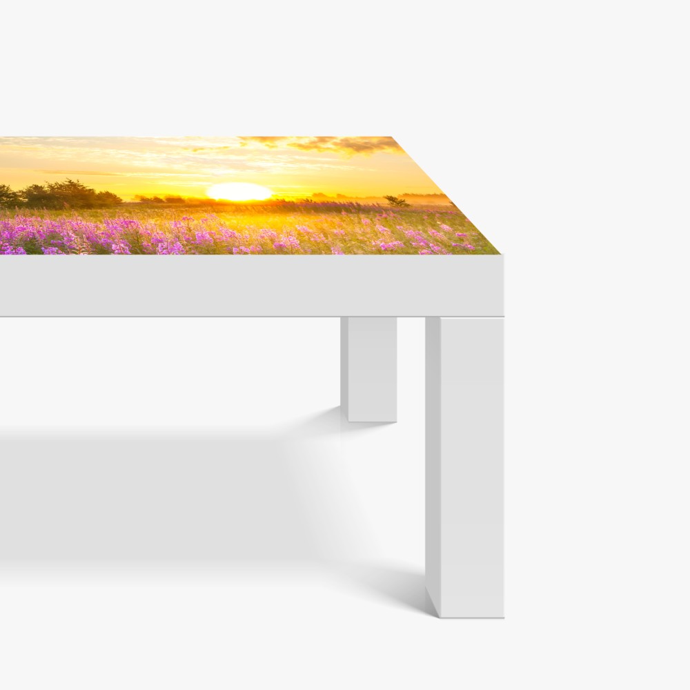 Tischaufkleber und Schreibtischaufkleber sonnenaufgang über violetter wildblumenwiese – Wallnifity® Tischaufkleber und Schreibtischaufkleber sonnenaufgang über violetter wildblumenwiese – Wallnifity®