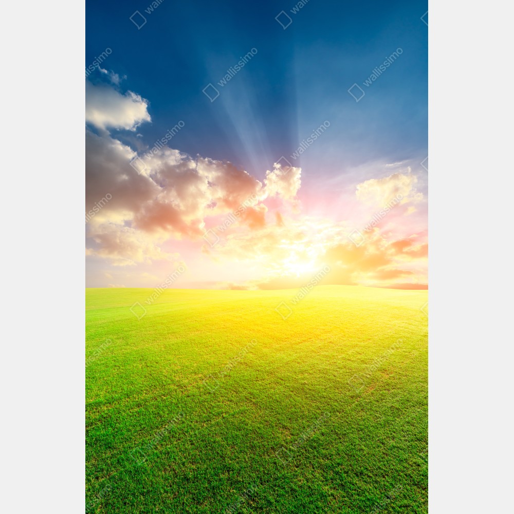 Tischaufkleber und Schreibtischaufkleber sonnenbeschienene wiese bei sonnenuntergang – Wallnifity® Tischaufkleber und Schreibtischaufkleber sonnenbeschienene wiese bei sonnenuntergang – Wallnifity®