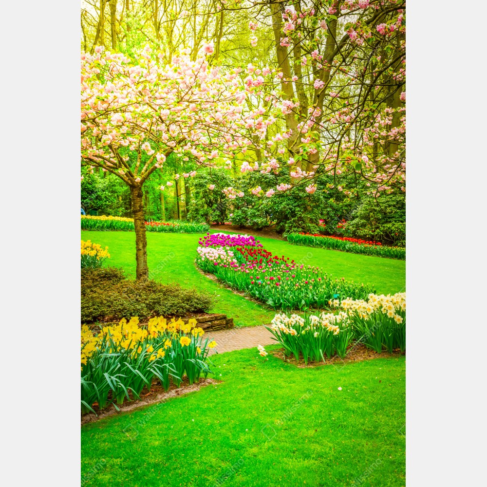 Tischaufkleber und Schreibtischaufkleber frühlingsgarten in blüte: tulpen und kirschblüten – Wallnifity® Tischaufkleber und Schreibtischaufkleber frühlingsgarten in blüte: tulpen und kirschblüten – Wallnifity®