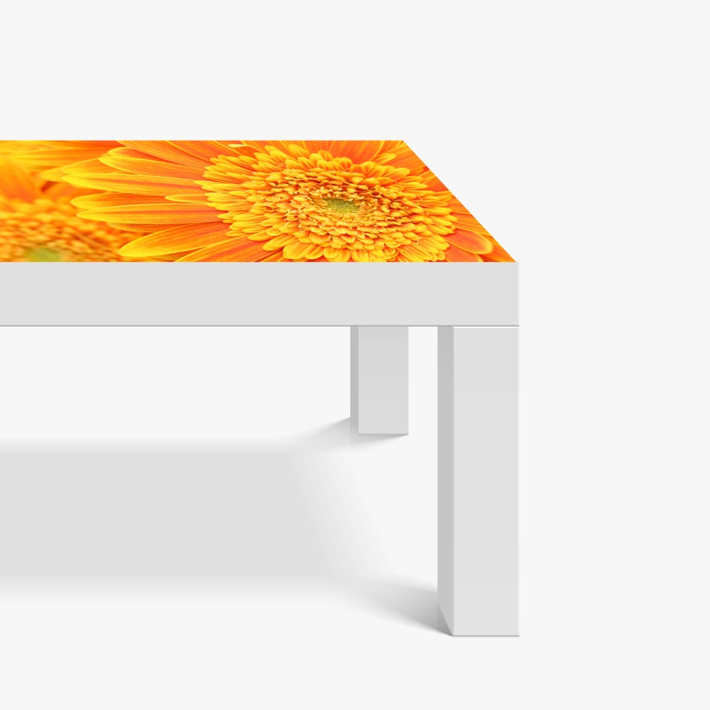 Tischaufkleber und Schreibtischaufkleber leuchtende orange gerbera in makro – Wallnifity® Tischaufkleber und Schreibtischaufkleber leuchtende orange gerbera in makro – Wallnifity®