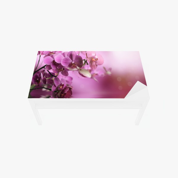 Tischaufkleber und Schreibtischaufkleber rosa orchideen spiegelung – Wallnifity® Tischaufkleber und Schreibtischaufkleber rosa orchideen spiegelung – Wallnifity®