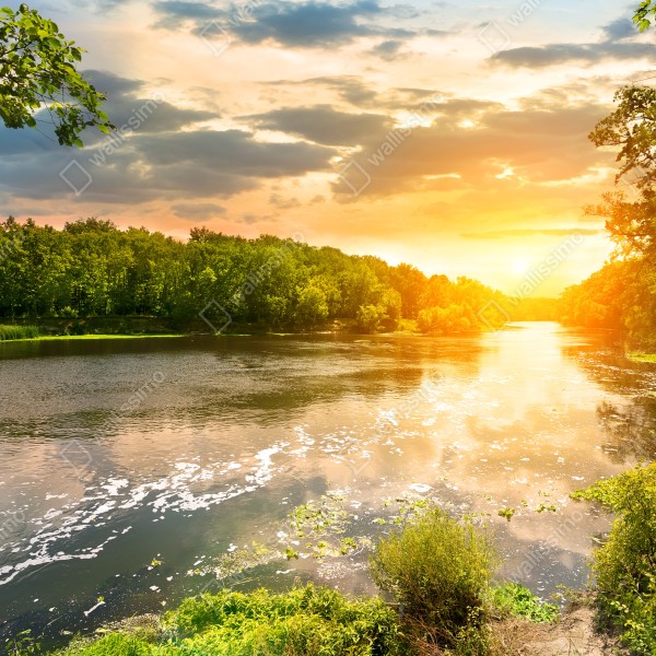 Tischaufkleber und Schreibtischaufkleber ruhiger sonnenuntergang am fluss im grünen wald – Wallnifity® Tischaufkleber und Schreibtischaufkleber ruhiger sonnenuntergang am fluss im grünen wald – Wallnifity®