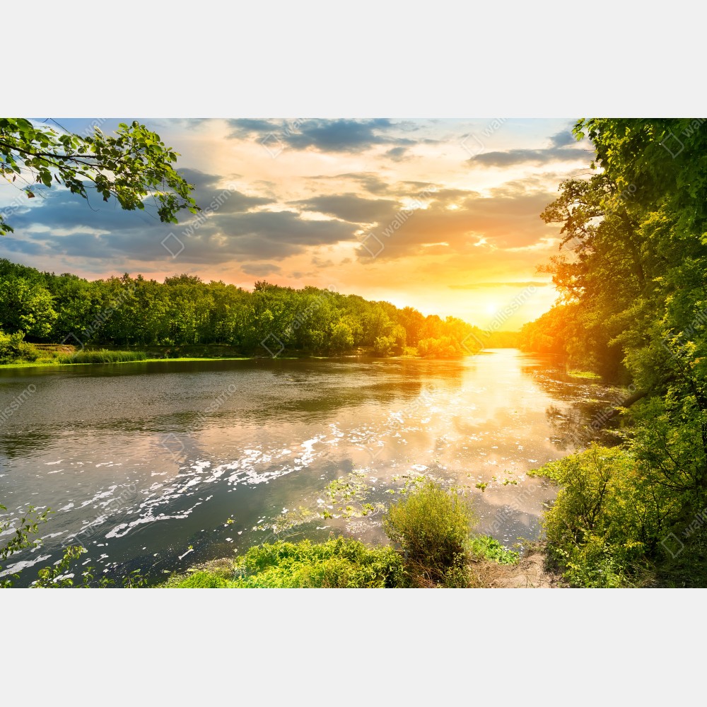 Tischaufkleber und Schreibtischaufkleber ruhiger sonnenuntergang am fluss im grünen wald – Wallnifity® Tischaufkleber und Schreibtischaufkleber ruhiger sonnenuntergang am fluss im grünen wald – Wallnifity®