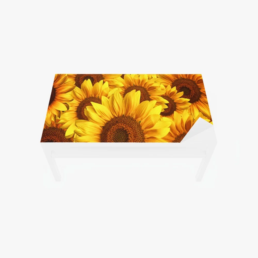 Tischaufkleber und Schreibtischaufkleber goldene sonnenblumen – Wallnifity® Tischaufkleber und Schreibtischaufkleber goldene sonnenblumen – Wallnifity®