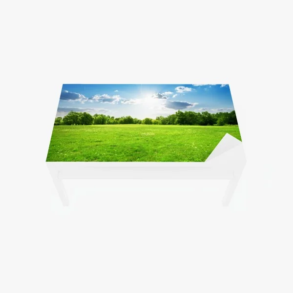 Tischaufkleber und Schreibtischaufkleber sonnige grüne wiese