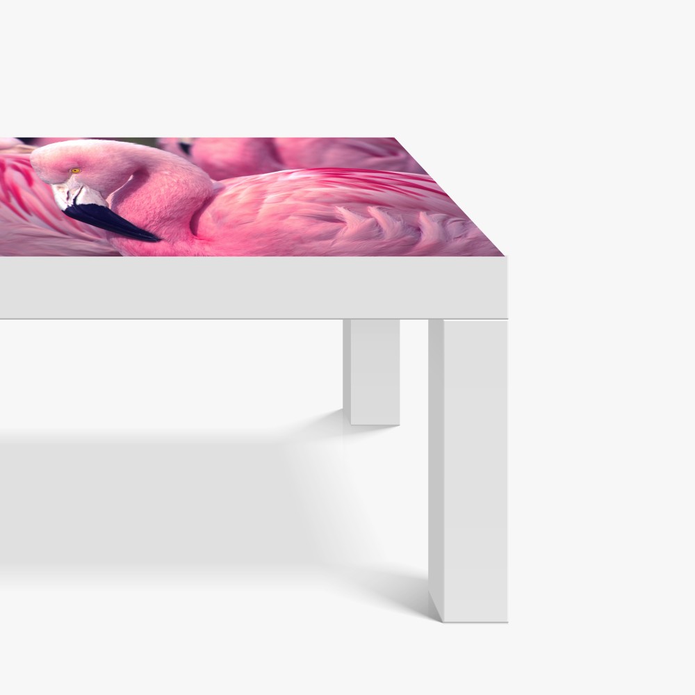 Tischaufkleber und Schreibtischaufkleber rosa flamingo nahaufnahme – Wallnifity® Tischaufkleber und Schreibtischaufkleber rosa flamingo nahaufnahme – Wallnifity®
