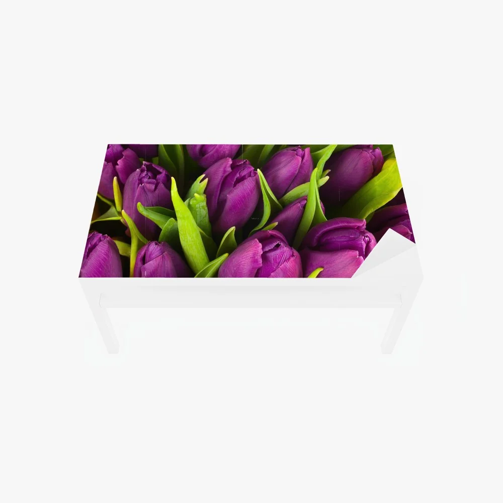 Tischaufkleber und Schreibtischaufkleber lila tulpen im bukett – Wallnifity® Tischaufkleber und Schreibtischaufkleber lila tulpen im bukett – Wallnifity®