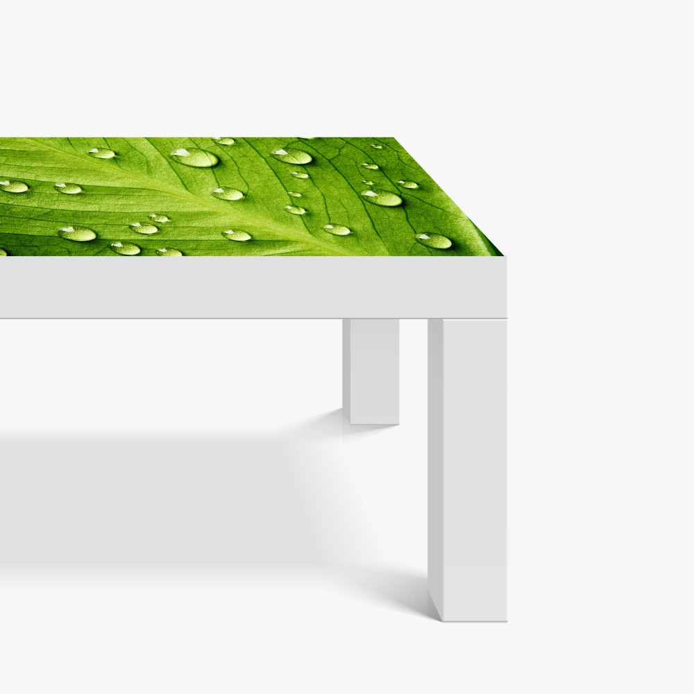 Tischaufkleber und Schreibtischaufkleber frisches grünes blatt mit wassertropfen – Wallnifity® Tischaufkleber und Schreibtischaufkleber frisches grünes blatt mit wassertropfen – Wallnifity®