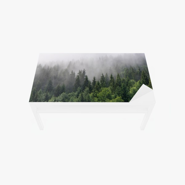 Tischaufkleber und Schreibtischaufkleber nebliger wald im morgengrauen – Wallnifity®