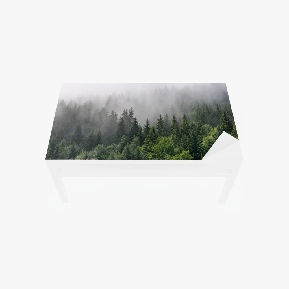 Tischaufkleber und Schreibtischaufkleber nebliger immergrüner wald panorama – Wallnifity® Tischaufkleber und Schreibtischaufkleber nebliger immergrüner wald panorama – Wallnifity®