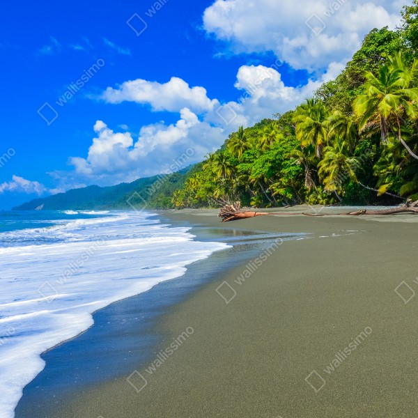 Tischaufkleber und Schreibtischaufkleber wilder strand bei Corcovado, Costa Rica – Wallnifity® Tischaufkleber und Schreibtischaufkleber wilder strand bei Corcovado, Costa Rica – Wallnifity®