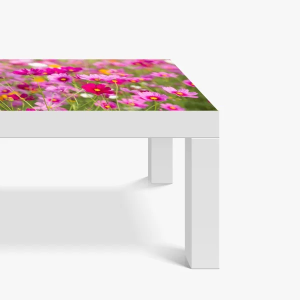 Tischaufkleber und Schreibtischaufkleber rosa kosmeenwiese in blüte – Wallnifity® Tischaufkleber und Schreibtischaufkleber rosa kosmeenwiese in blüte – Wallnifity®