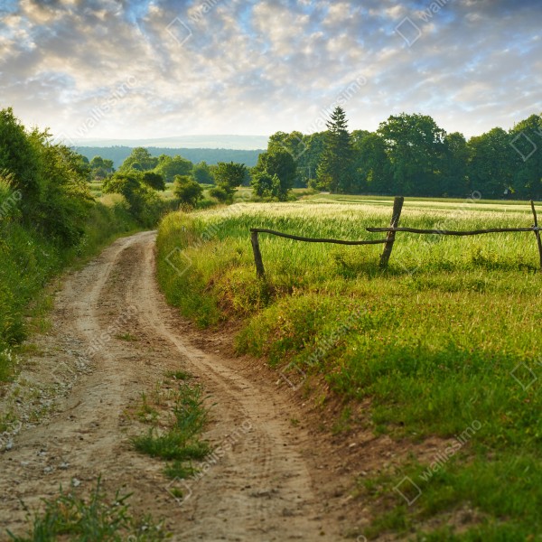 Tischaufkleber und Schreibtischaufkleber sonniger landweg durch grüne wiesen – Wallnifity® Tischaufkleber und Schreibtischaufkleber sonniger landweg durch grüne wiesen – Wallnifity®