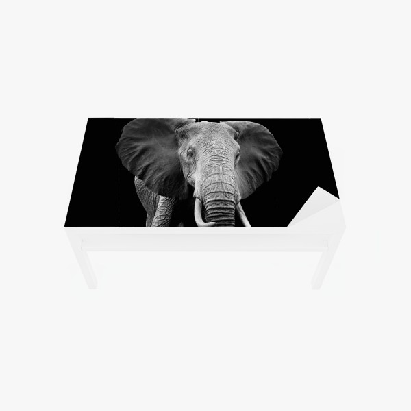 Tischaufkleber und Schreibtischaufkleber tropische dschungel-wildtierszene – Wallnifity®