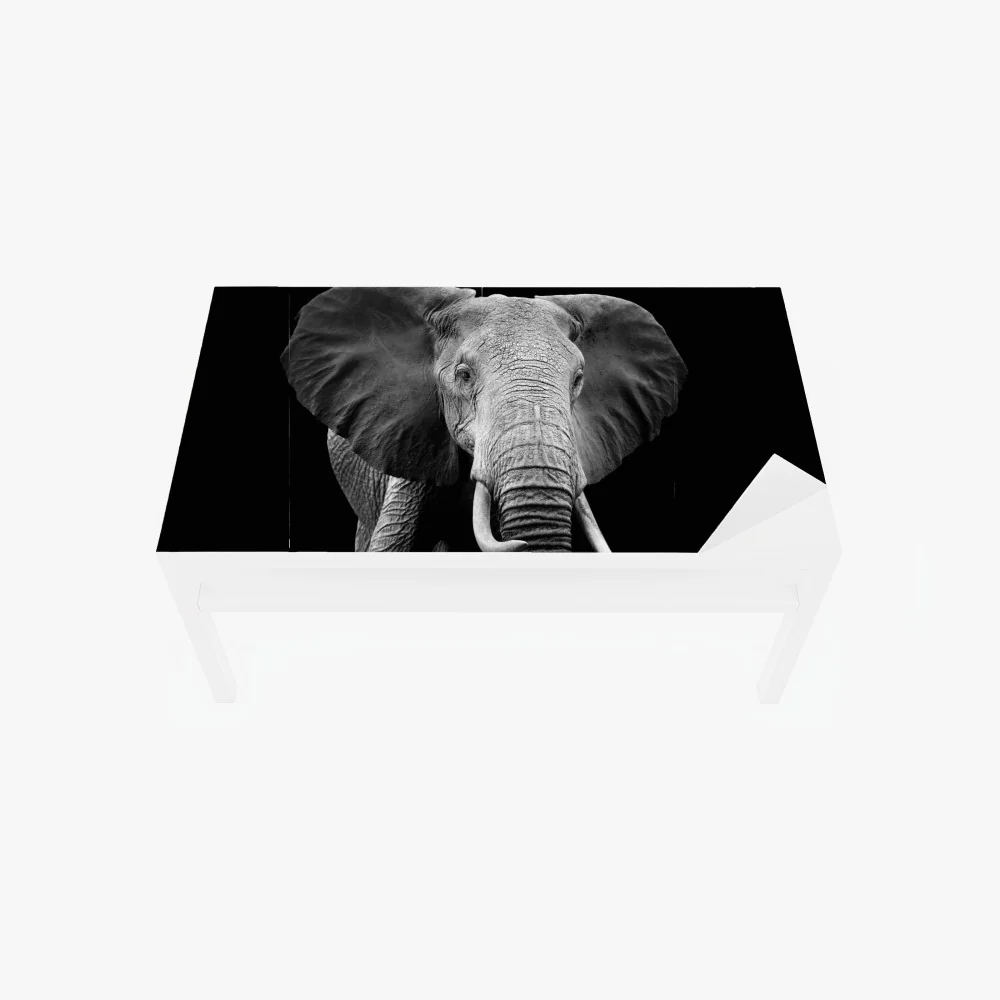 Tischaufkleber und Schreibtischaufkleber majestätisches elefantenporträt in monochrom – Wallnifity® Tischaufkleber und Schreibtischaufkleber majestätisches elefantenporträt in monochrom – Wallnifity®