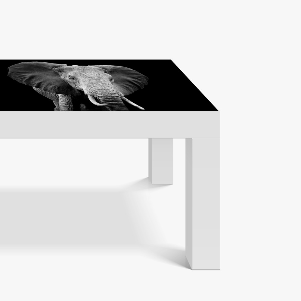 Tischaufkleber und Schreibtischaufkleber majestätisches elefantenporträt in monochrom – Wallnifity® Tischaufkleber und Schreibtischaufkleber majestätisches elefantenporträt in monochrom – Wallnifity®