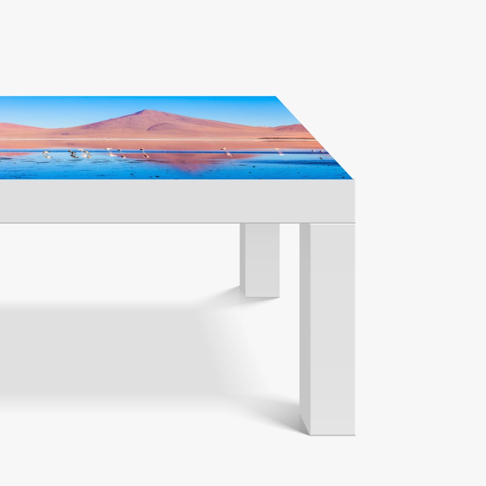 Tischaufkleber und Schreibtischaufkleber flamingos am Laguna Colorada, Bolivien – Wallnifity® Tischaufkleber und Schreibtischaufkleber flamingos am Laguna Colorada, Bolivien – Wallnifity®