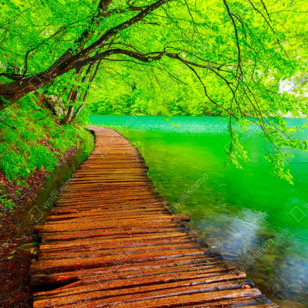 Tischaufkleber und Schreibtischaufkleber ruhiger grüner steg am see – Wallnifity® Tischaufkleber und Schreibtischaufkleber ruhiger grüner steg am see – Wallnifity®