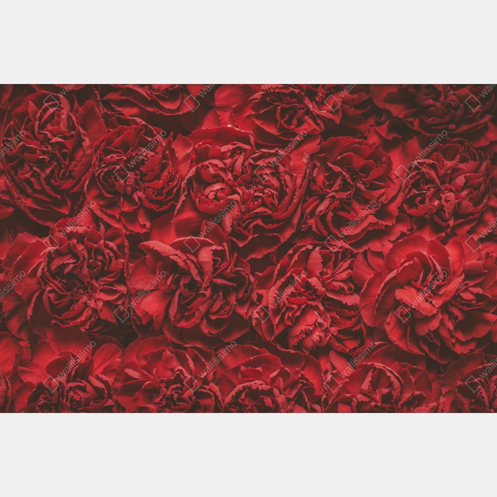 Tischaufkleber und Schreibtischaufkleber vintage rote nelken blumenmuster – Wallnifity® Tischaufkleber und Schreibtischaufkleber vintage rote nelken blumenmuster – Wallnifity®