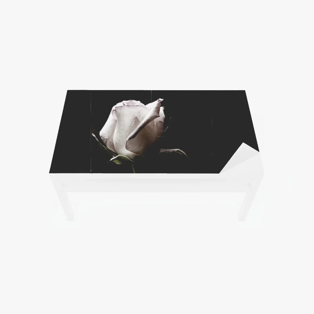 Tischaufkleber und Schreibtischaufkleber weiße rose vor schwarzem hintergrund – Wallnifity® Tischaufkleber und Schreibtischaufkleber weiße rose vor schwarzem hintergrund – Wallnifity®