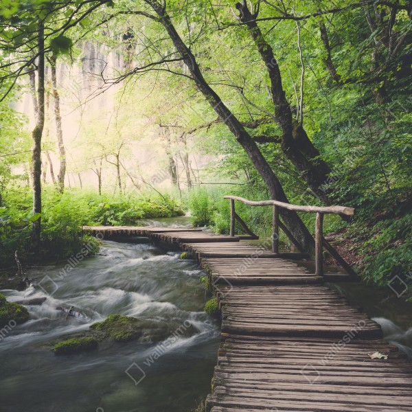 Tischaufkleber und Schreibtischaufkleber ruhiger hölzerner steg durch grünen wald – Wallnifity® Tischaufkleber und Schreibtischaufkleber ruhiger hölzerner steg durch grünen wald – Wallnifity®