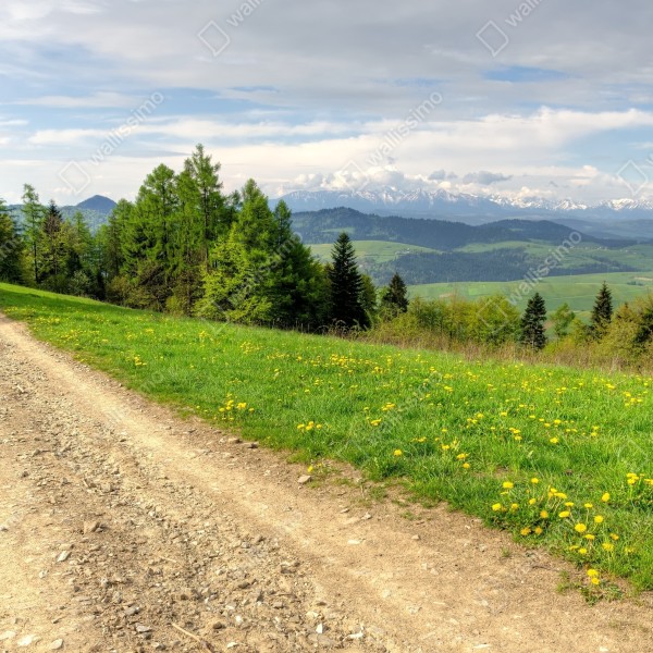 Tischaufkleber und Schreibtischaufkleber Gorce frühlingspfad – Wallnifity® Tischaufkleber und Schreibtischaufkleber Gorce frühlingspfad – Wallnifity®