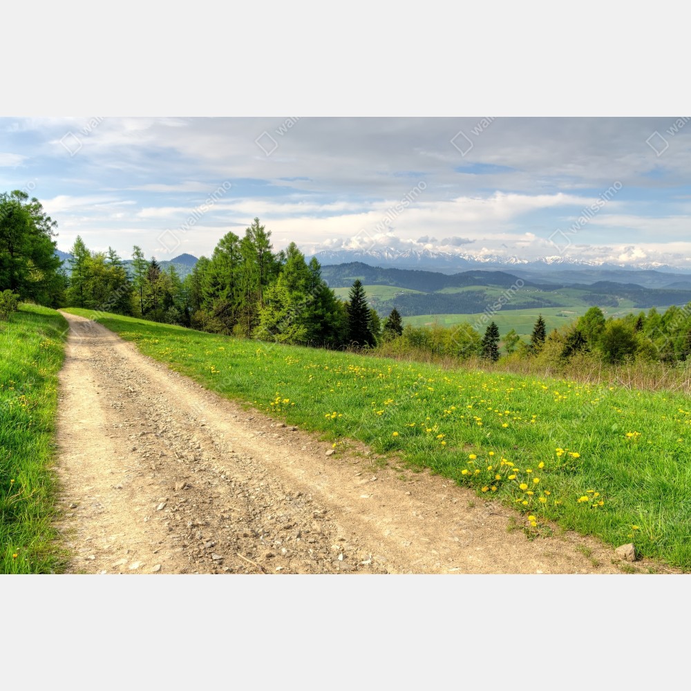 Tischaufkleber und Schreibtischaufkleber Gorce frühlingspfad – Wallnifity® Tischaufkleber und Schreibtischaufkleber Gorce frühlingspfad – Wallnifity®
