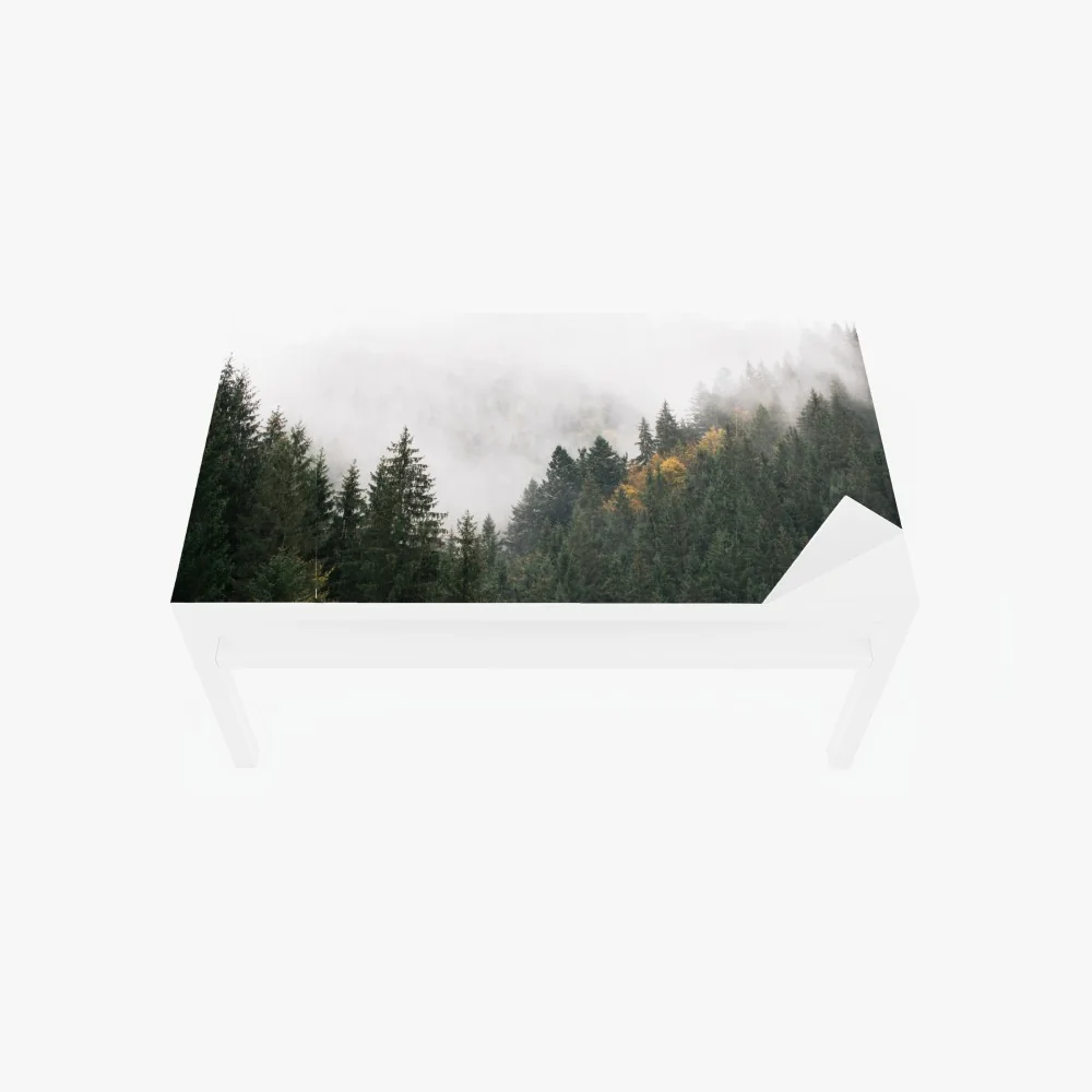 Tischaufkleber und Schreibtischaufkleber nebliger bergwald im dunst – Wallnifity® Tischaufkleber und Schreibtischaufkleber nebliger bergwald im dunst – Wallnifity®