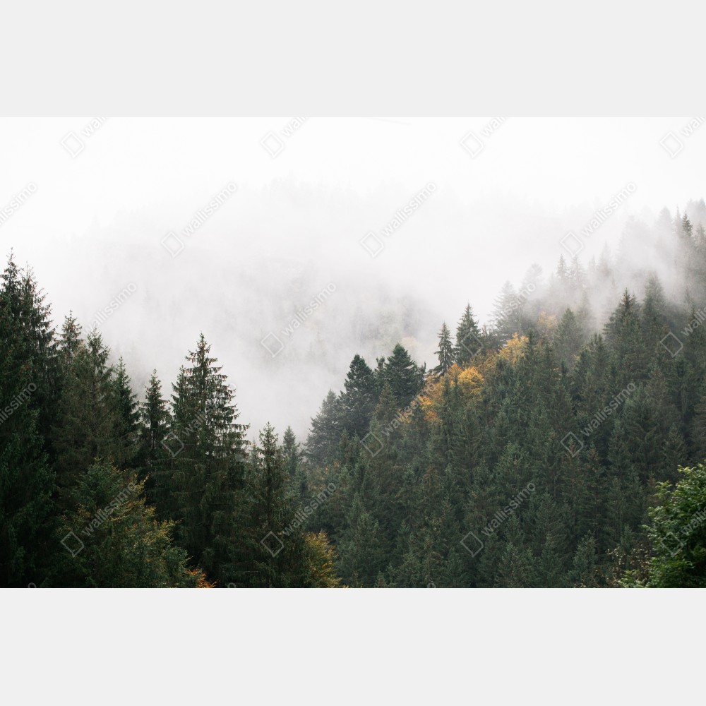 Tischaufkleber und Schreibtischaufkleber nebliger bergwald im dunst – Wallnifity® Tischaufkleber und Schreibtischaufkleber nebliger bergwald im dunst – Wallnifity®