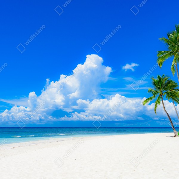Tischaufkleber und Schreibtischaufkleber tropischer palmenstrand unter blauem himmel – Wallnifity® Tischaufkleber und Schreibtischaufkleber tropischer palmenstrand unter blauem himmel – Wallnifity®