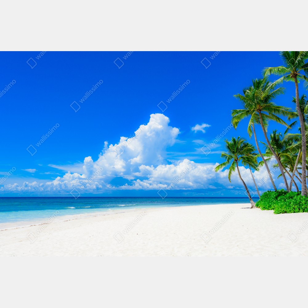 Tischaufkleber und Schreibtischaufkleber tropischer palmenstrand unter blauem himmel – Wallnifity® Tischaufkleber und Schreibtischaufkleber tropischer palmenstrand unter blauem himmel – Wallnifity®