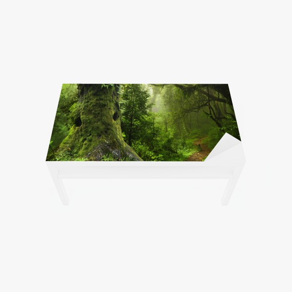 Tischaufkleber und Schreibtischaufkleber ruhiger waldpfad durch üppiges grün – Wallnifity®