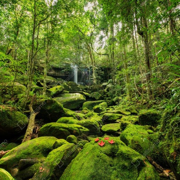 Tischaufkleber und Schreibtischaufkleber üppiger moosbewachsener wasserfall im tropischen wald – Wallnifity® Tischaufkleber und Schreibtischaufkleber üppiger moosbewachsener wasserfall im tropischen wald – Wallnifity®