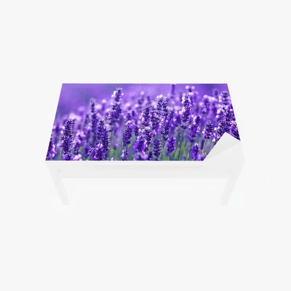Tischaufkleber und Schreibtischaufkleber lavendelfeld nahaufnahme – Wallnifity® Tischaufkleber und Schreibtischaufkleber lavendelfeld nahaufnahme – Wallnifity®