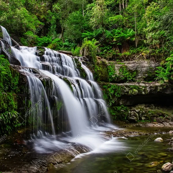 Tischaufkleber und Schreibtischaufkleber wasserfall Liffey Falls im üppigen Regenwald von Tasmanien – Wallnifity® Tischaufkleber und Schreibtischaufkleber wasserfall Liffey Falls im üppigen Regenwald von Tasmanien – Wallnifity®