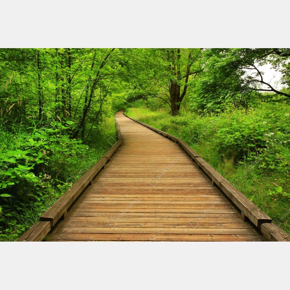Tischaufkleber und Schreibtischaufkleber ruhiger holzsteg im wald – Wallnifity® Tischaufkleber und Schreibtischaufkleber ruhiger holzsteg im wald – Wallnifity®