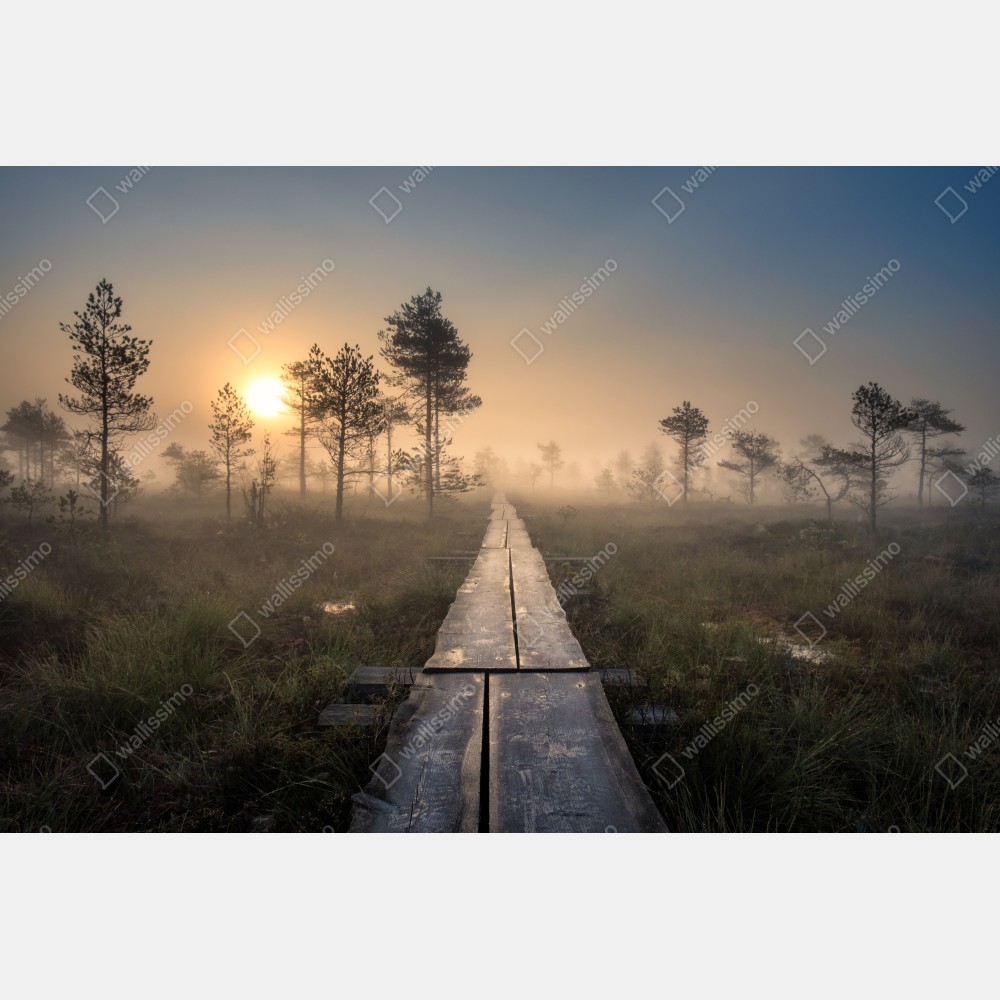 Tischaufkleber und Schreibtischaufkleber nebliger sonnenaufgang über dem holzsteg – Wallnifity® Tischaufkleber und Schreibtischaufkleber nebliger sonnenaufgang über dem holzsteg – Wallnifity®