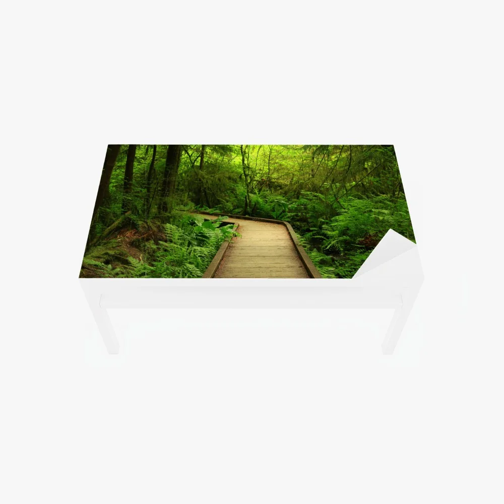 Tischaufkleber und Schreibtischaufkleber ruhiger grüner waldsteg – Wallnifity® Tischaufkleber und Schreibtischaufkleber ruhiger grüner waldsteg – Wallnifity®