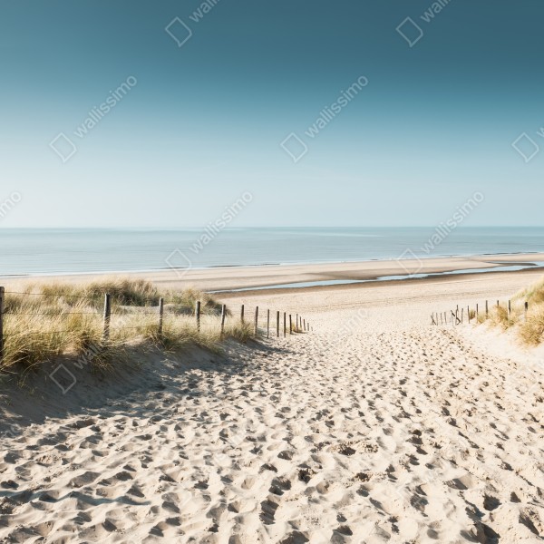 Tischaufkleber und Schreibtischaufkleber sanddünen und ruhige Nordsee bei Noordwijk – Wallnifity® Tischaufkleber und Schreibtischaufkleber sanddünen und ruhige Nordsee bei Noordwijk – Wallnifity®