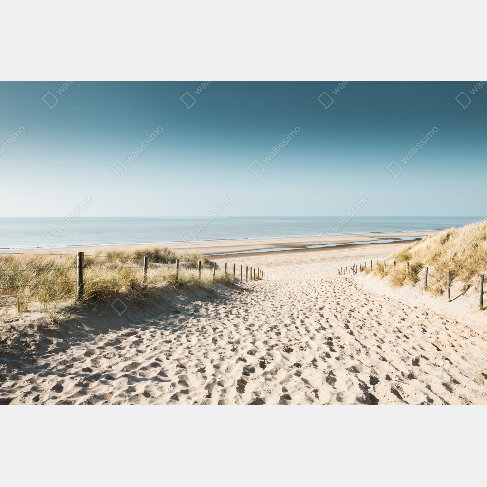 Tischaufkleber und Schreibtischaufkleber sanddünen und ruhige Nordsee bei Noordwijk – Wallnifity® Tischaufkleber und Schreibtischaufkleber sanddünen und ruhige Nordsee bei Noordwijk – Wallnifity®