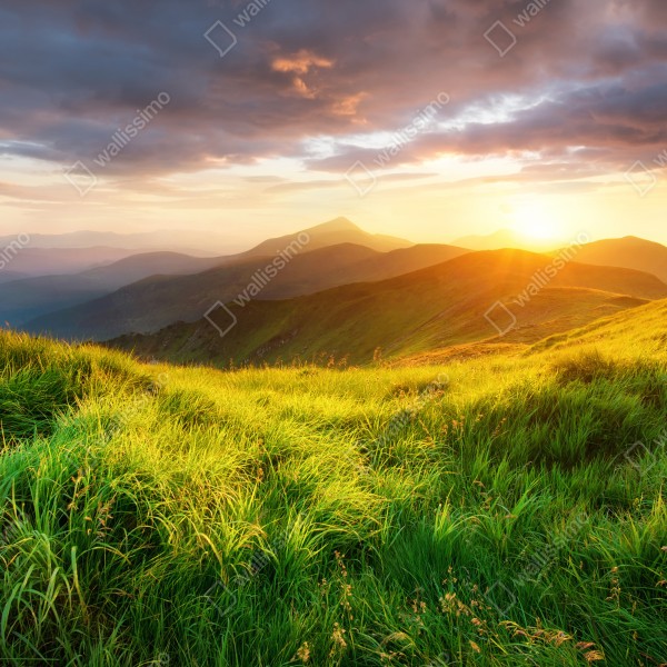 Tischaufkleber und Schreibtischaufkleber sonnige bergwiese bei sonnenaufgang – Wallnifity® Tischaufkleber und Schreibtischaufkleber sonnige bergwiese bei sonnenaufgang – Wallnifity®