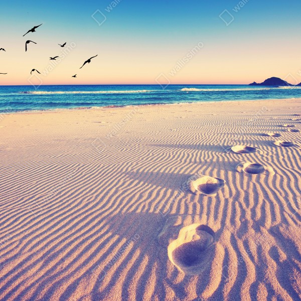 Tischaufkleber und Schreibtischaufkleber magische fußspuren am sommerstrand – Wallnifity® Tischaufkleber und Schreibtischaufkleber magische fußspuren am sommerstrand – Wallnifity®