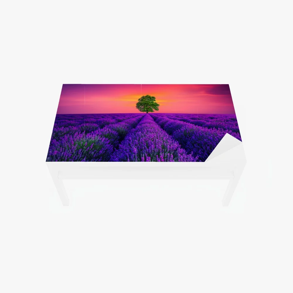 Tischaufkleber und Schreibtischaufkleber lavendelfeld bei sonnenuntergang mit einsamem baum – Wallnifity® Tischaufkleber und Schreibtischaufkleber lavendelfeld bei sonnenuntergang mit einsamem baum – Wallnifity®