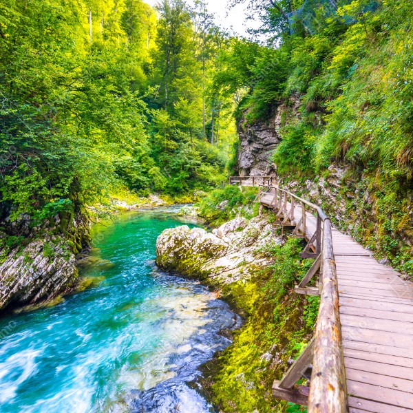 Tischaufkleber und Schreibtischaufkleber türkisfarbener fluss und holzsteg im wald – Wallnifity® Tischaufkleber und Schreibtischaufkleber türkisfarbener fluss und holzsteg im wald – Wallnifity®
