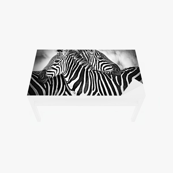 Tischaufkleber und Schreibtischaufkleber intimes zebra-porträt in schwarzweiß – Wallnifity® Tischaufkleber und Schreibtischaufkleber intimes zebra-porträt in schwarzweiß – Wallnifity®
