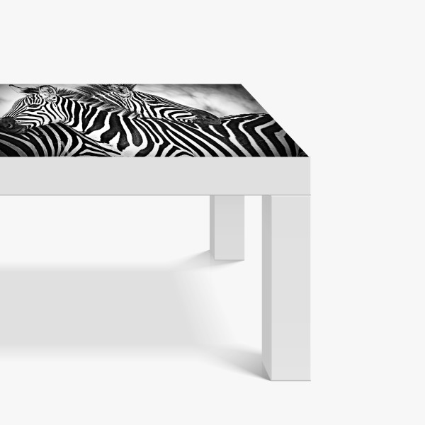 Tischaufkleber und Schreibtischaufkleber intimes zebra-porträt in schwarzweiß – Wallnifity® Tischaufkleber und Schreibtischaufkleber intimes zebra-porträt in schwarzweiß – Wallnifity®