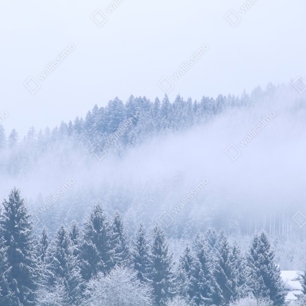 Tischaufkleber und Schreibtischaufkleber winternebel über nadelwald – Wallnifity® Tischaufkleber und Schreibtischaufkleber winternebel über nadelwald – Wallnifity®