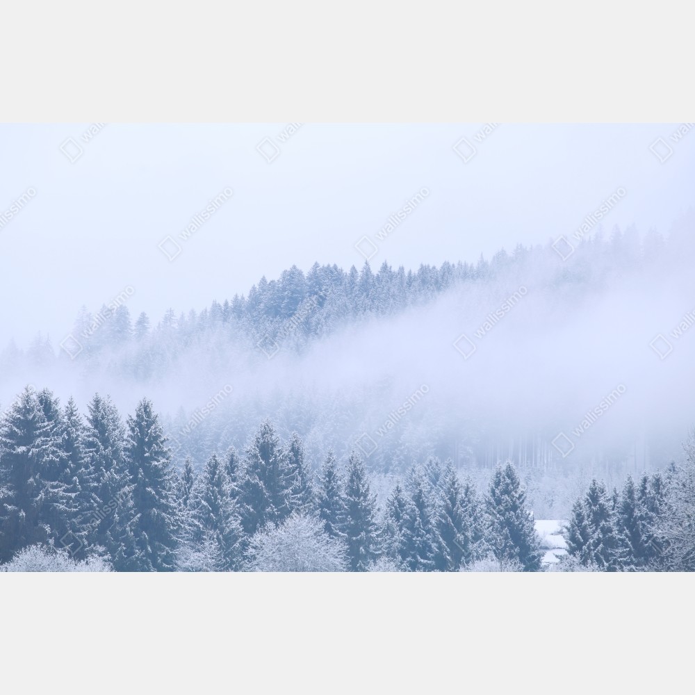Tischaufkleber und Schreibtischaufkleber winternebel über nadelwald – Wallnifity® Tischaufkleber und Schreibtischaufkleber winternebel über nadelwald – Wallnifity®